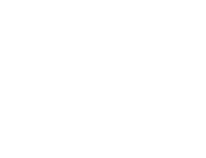 Nyst Legal Logo