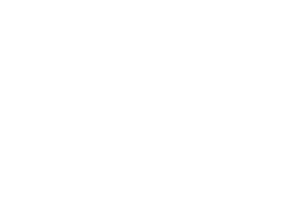 Switch Finance Logo White Reverse
